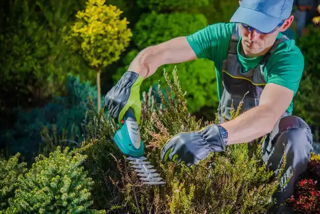landscaping services Stone Ridge